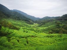 婺源-开心就好灬