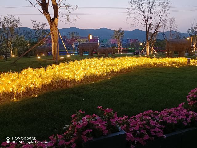 太原康培稻田公园旅行图片 11