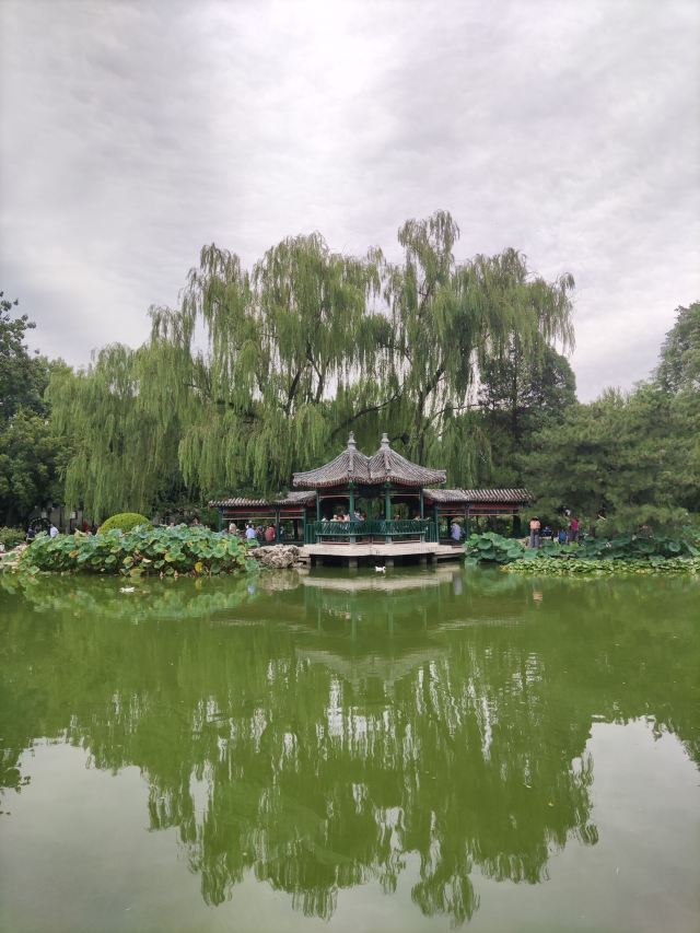 宣武艺园旅行图片 13