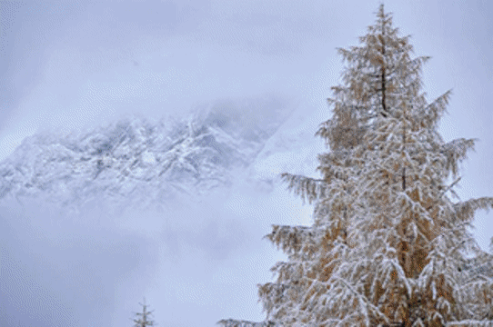 争创国家全域旅游示范区 | 初雪降临，全世界都开始羡慕阿坝州！