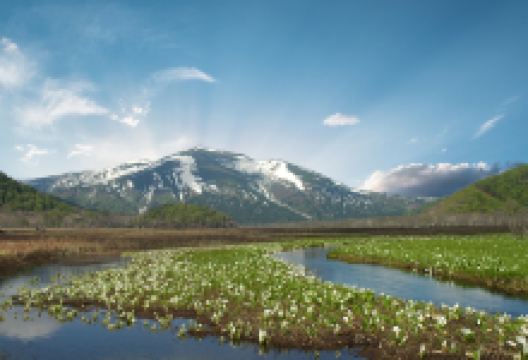 尾濑国立公园景点图片