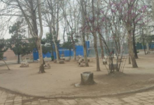 人民公园-动物园景点图片