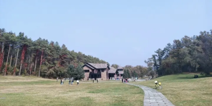 中國瓦薩博物館