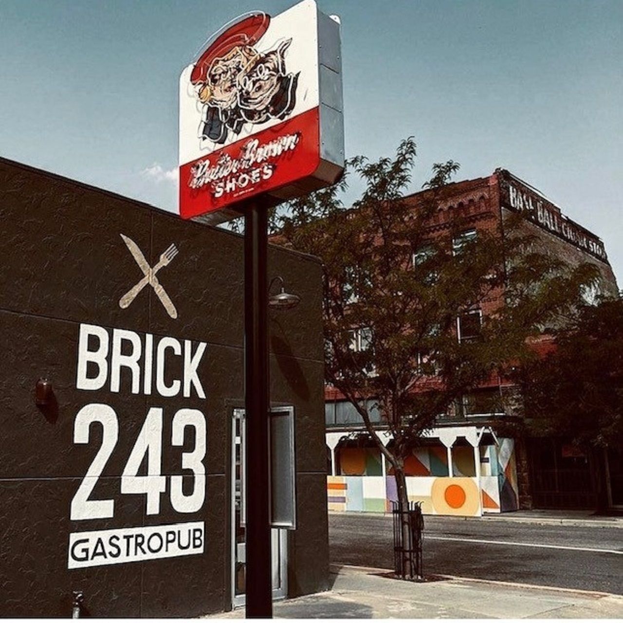 Brick 243