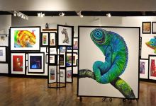 Chameleon Art Gallery景点图片