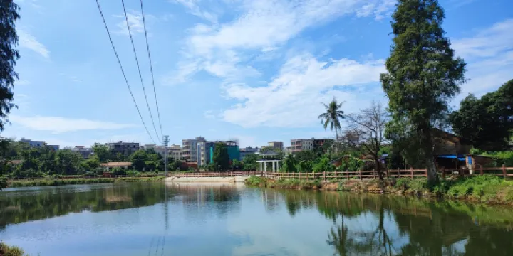 吳川市淺水森林公園