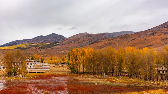 紅草濕地