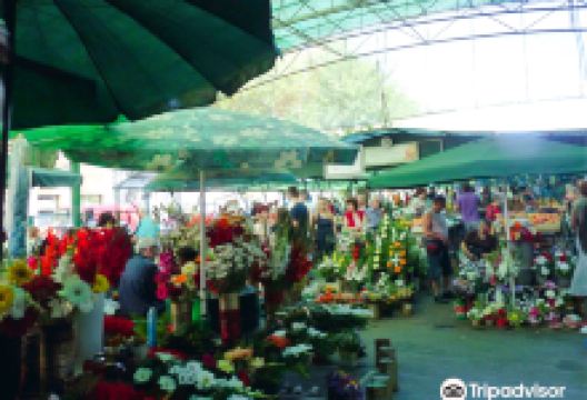 Mlečna Pijaca购物图片