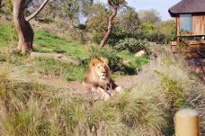 National Zoological Gardens of South Africa-比勒陀利亚