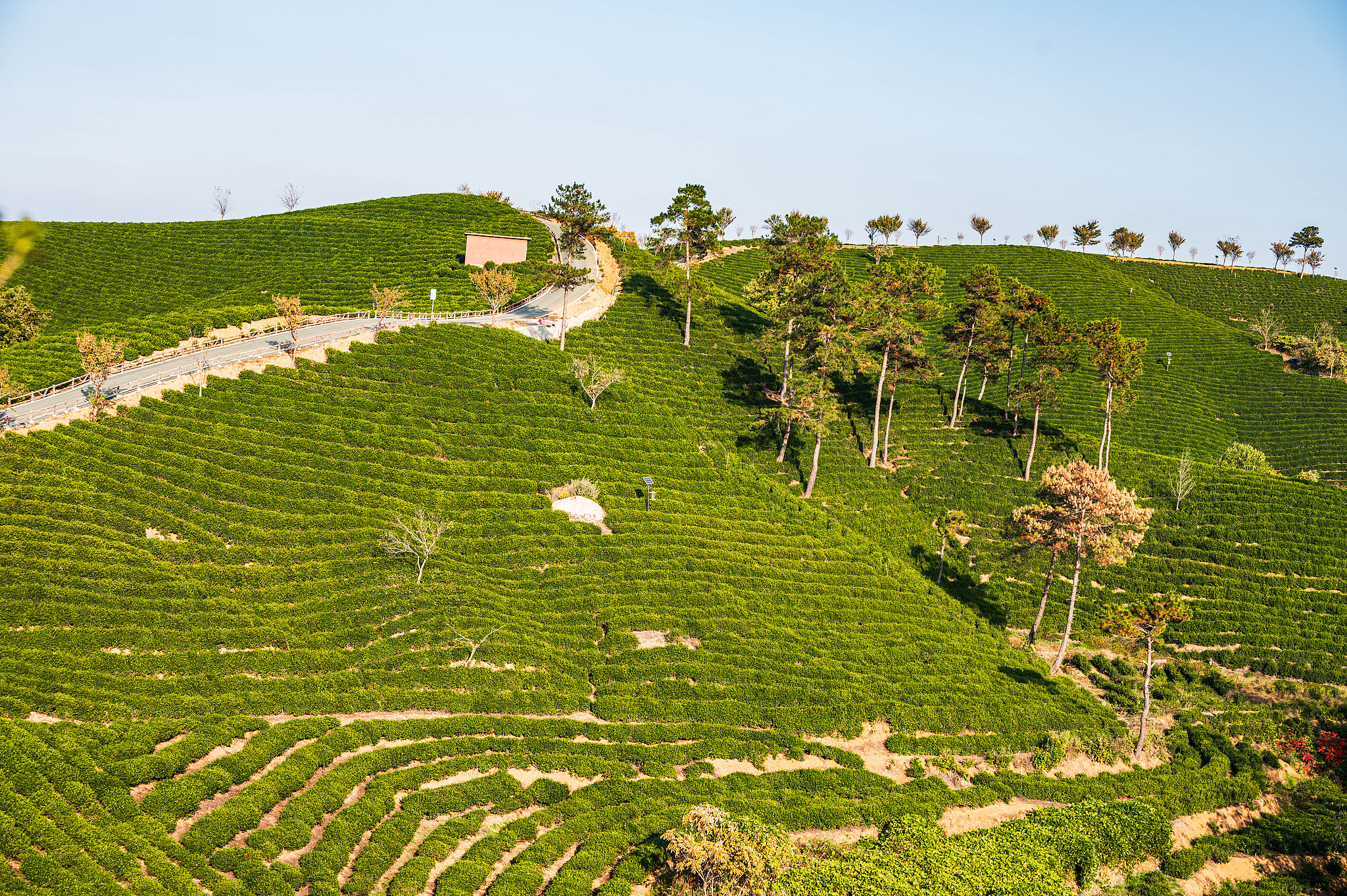 2-Day Xinyang Tour: The Tranquil Beauty of Nanwan Lake and the Scenic Views of Kikungshan