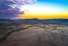 北岐滩涂景点图片