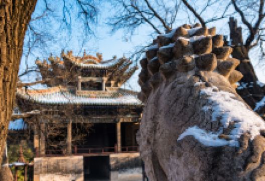 聊城市博物馆景点图片