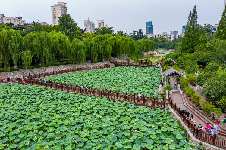 紫荆山公园