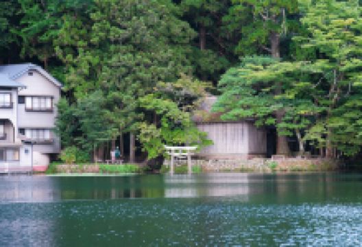 金鳞湖景点图片