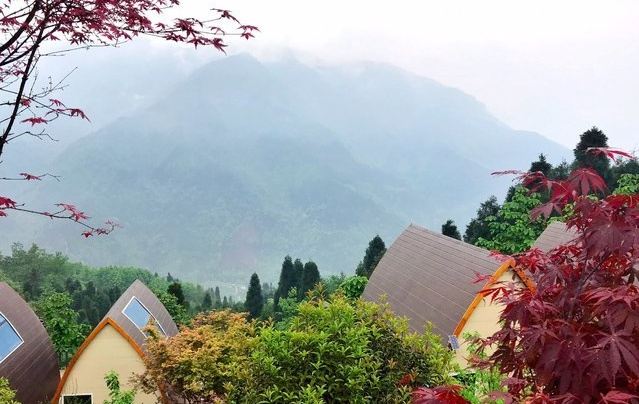 川西红枫岭旅行图片 1
