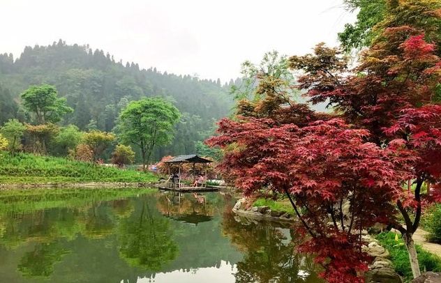 川西红枫岭旅行图片 3