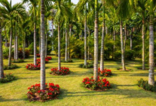 三亚热带雨林广场景点图片