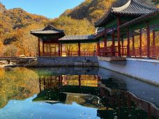 蒲石河森林公园-凤城-小Q