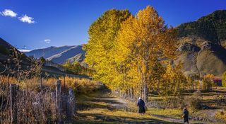 川西秘境—新都桥,深秋季节最合适去的地方!