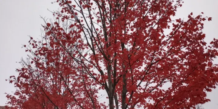 湖南農業大學校史館