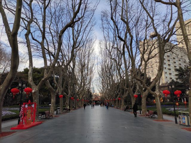 襄阳公园旅行图片 2