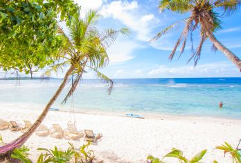 亚庇终极「深潜」体验｜美人鱼岛玻璃海一日游，把浪漫藏进海底【双点浮潜 + 10 种菜品海鲜自助，中文导游 + 全程接送，亲子家庭海岛出行省心又尽兴～】