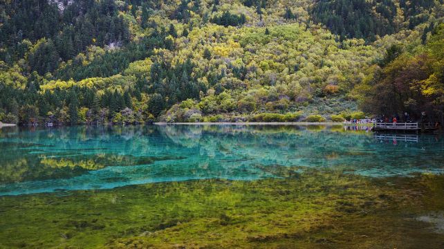 3-Day Sichuan Private Tour from Chengdu· Chengdu Research Base of Giant Panda, Jiuzhaigou, Huanglong Scenic Area