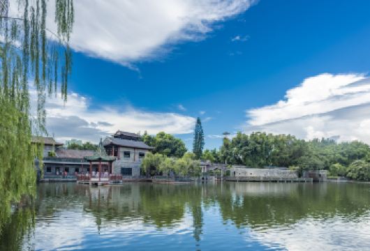 东莞市博物馆+威远炮台+海战博物馆+可园一日活动【私家团】【@独立包车游，专车跟随，随走随停，出游轻松自在！】