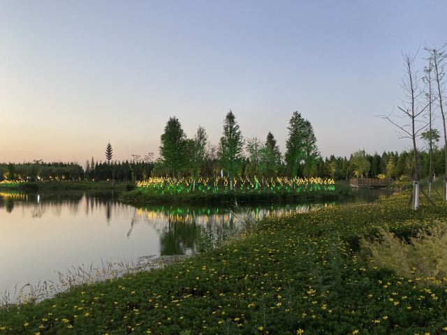 海洪湿地泼水广场旅行图片 6