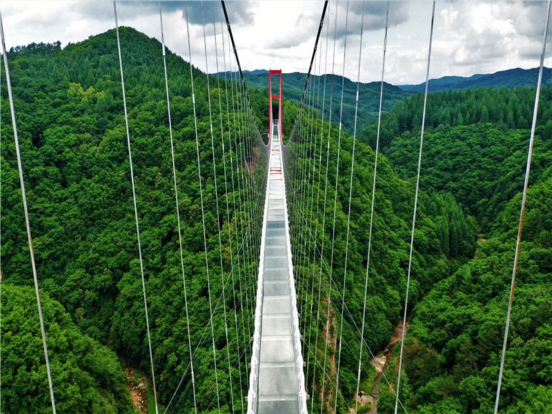 Gallery 2