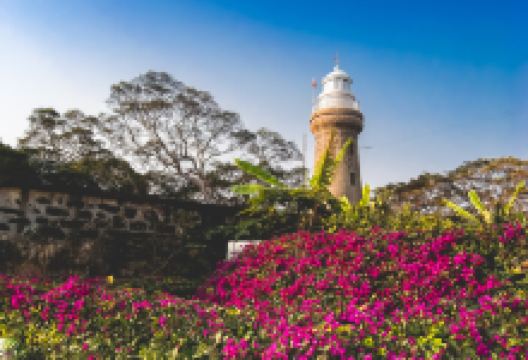 硇洲灯塔景点图片