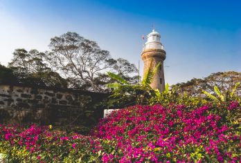 硇洲岛+硇洲灯塔+海龟城+幸福海湾沙滩+渔港公园一日游【硇洲岛】