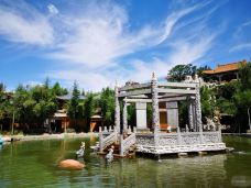 龙脉温泉度假村餐厅-北京-果汁分你一半✔