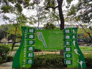 五月凤凰花开季,走在云南开远泸江公园里,是清凉、闲适的体验