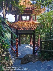 龙景峡谷-资兴-提琴G大调