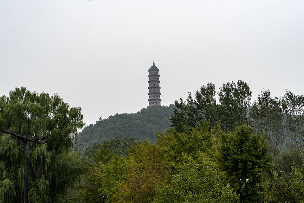 玉东郊野公园——京西水稻园