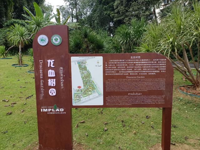西双版纳南药园旅行图片 9
