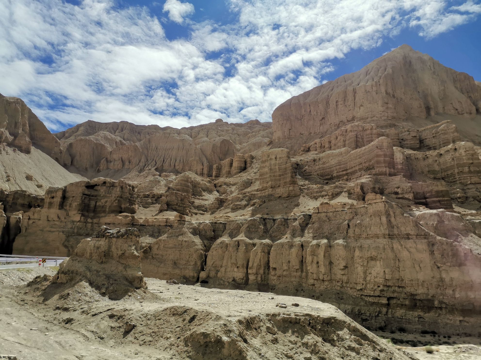 Tibet Ali Zanda soil forest