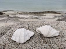 永兴岛-三沙-YoYo_1O1Z1O4D