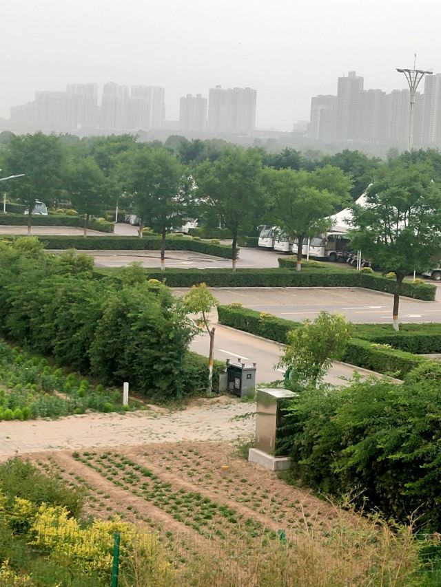 灞渭生态滩区旅行图片 3