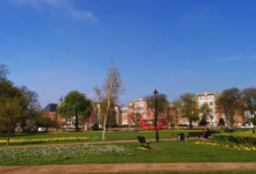 Haven Green景点图片