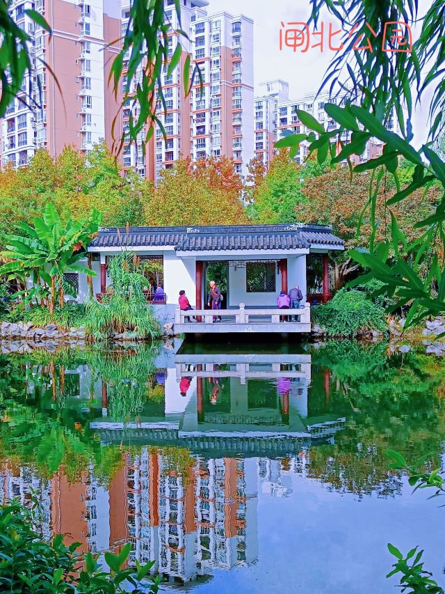 闸北公园旅行图片 1