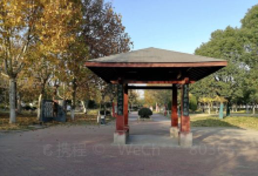 城西公园景点图片