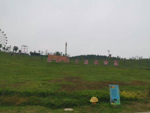 莲花山公园