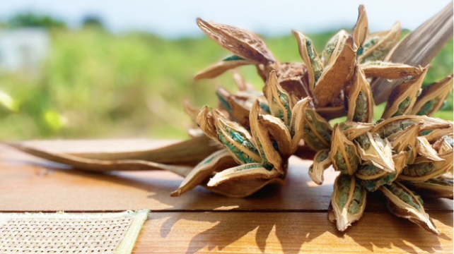 Yusarabi餐厅图片