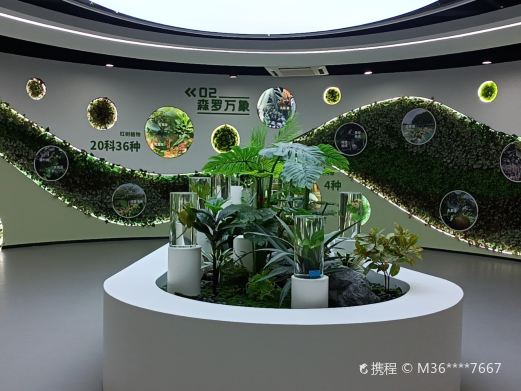 东寨港红树林博物馆