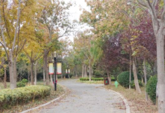 后羿公园景点图片