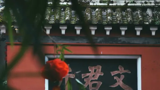 文君井