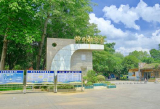 柳州动物园景点图片