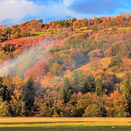 曼彻斯特+伦敦+牛津+剑桥+谢菲尔德7日6晚私家团